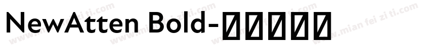 NewAtten Bold字体转换